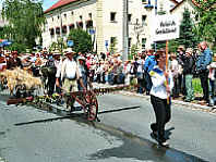 der gro&szlig;e Festumzug durchs Dorf