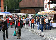 das 11. Kr�uterfest am 16.08. und 17.08.2008 in St. Marienthal