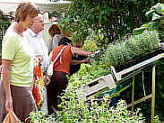 Kr�uter, Stauden, Pflanzen f�r den heimischen Garten
